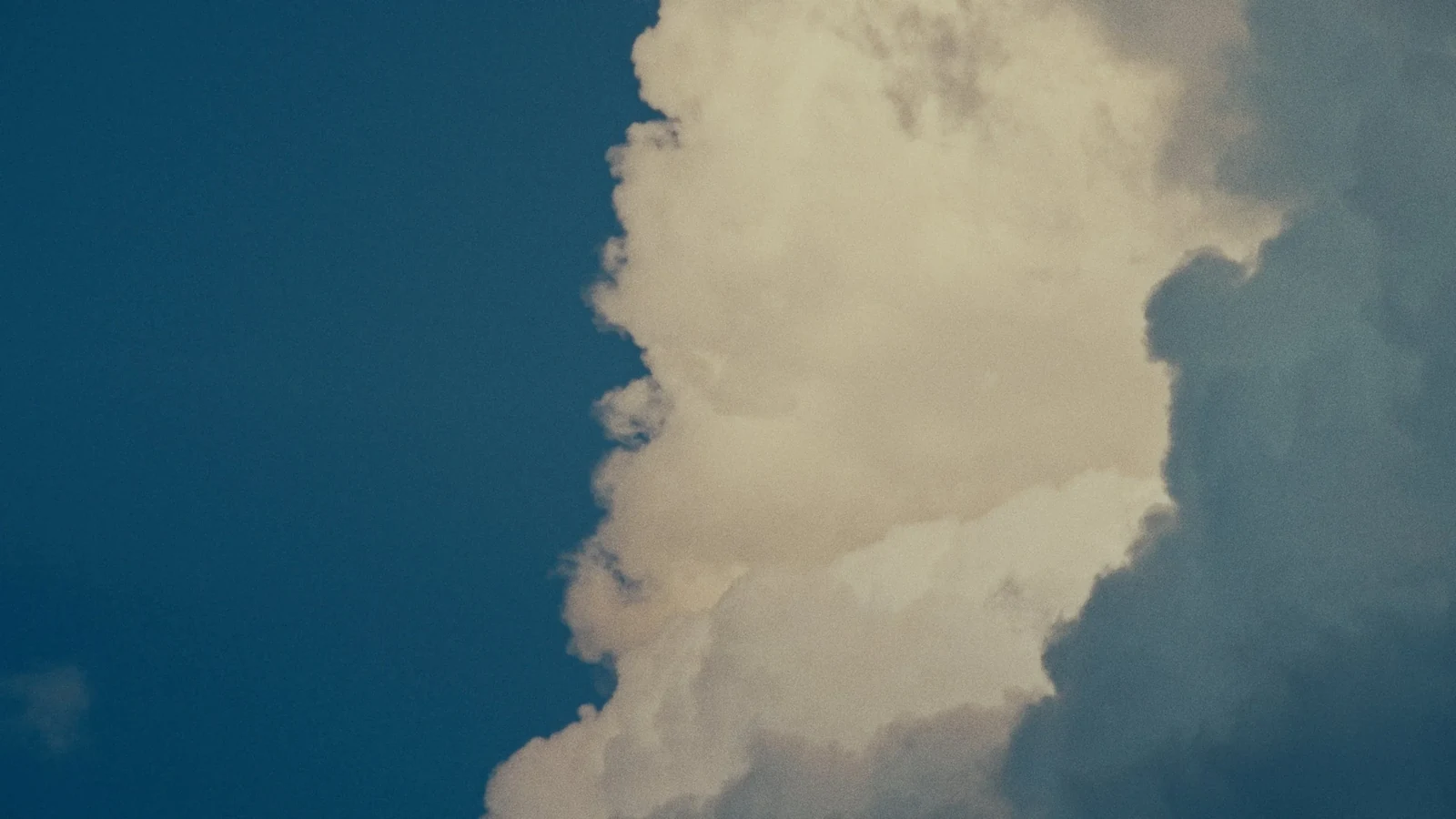 Polestar — So Much More — still 4